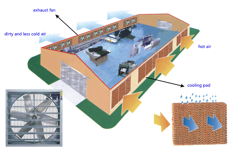 wall mounted exhaust fan and cooling pad cooling system